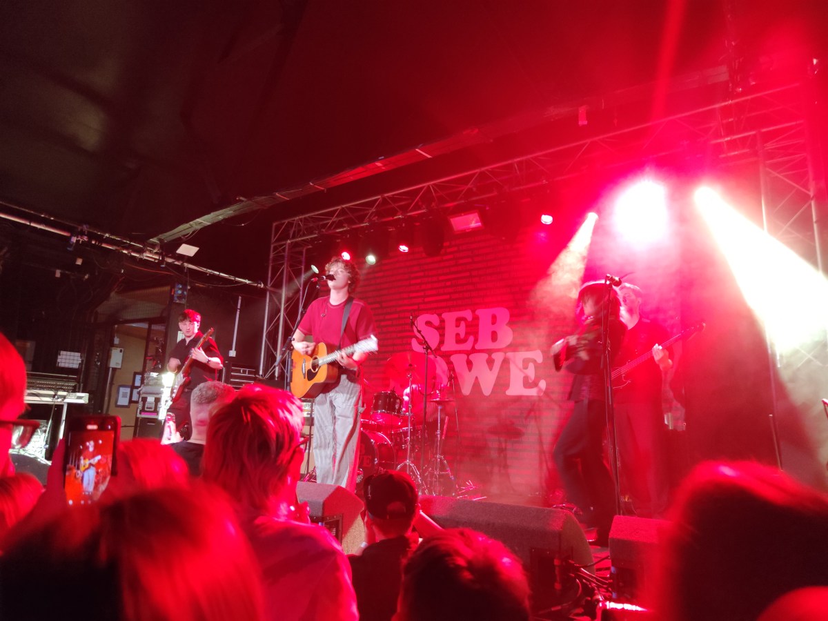 Seb Lowe live: an artist at the start of a very promising&nbsp;career
